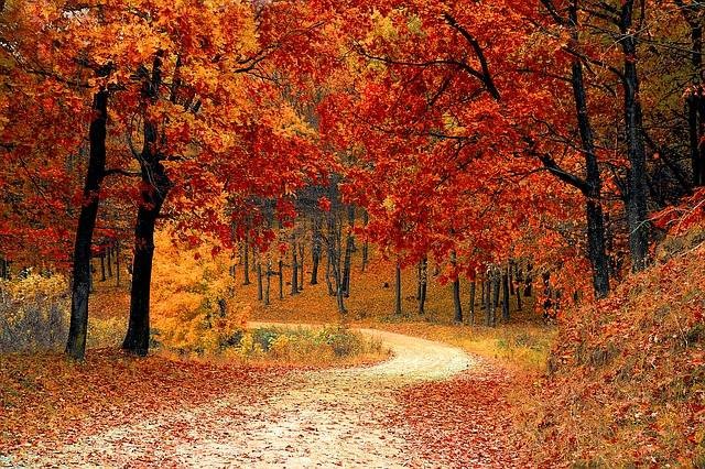 best places to visit in fall in usa
