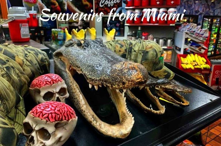 11 Best Miami Souvenirs You Want to Bring Back from Florida